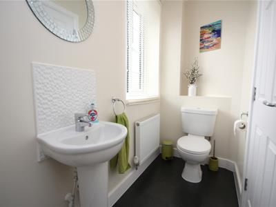 Picture 7